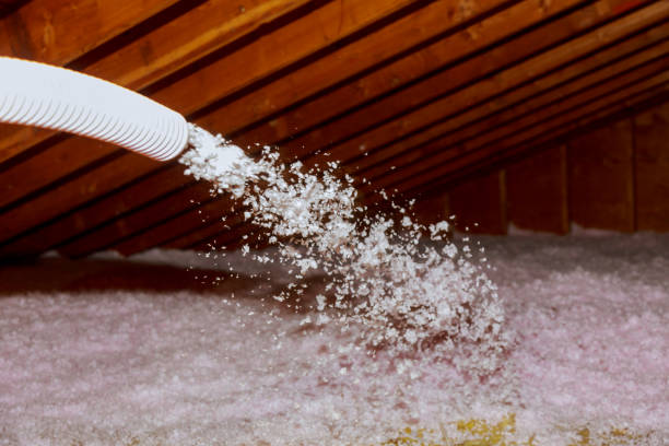 Best Residential Insulation in Lady Lake, FL