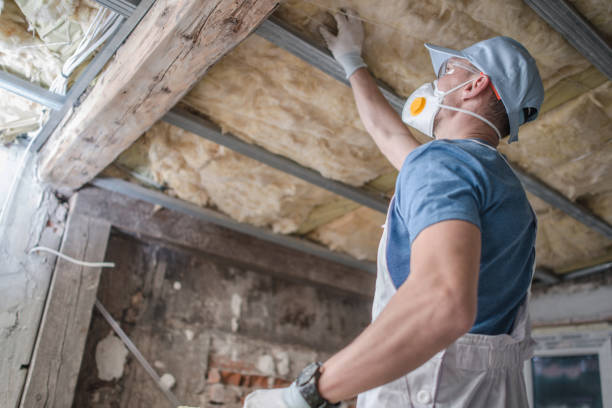 Best DIY Insulation Kits and Guidance in Lady Lake, FL