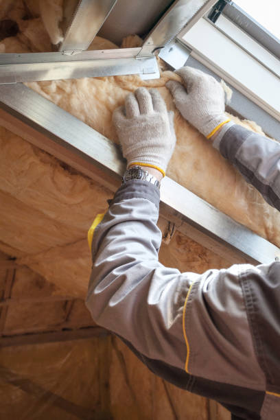 Best Eco-Friendly Insulation in Lady Lake, FL
