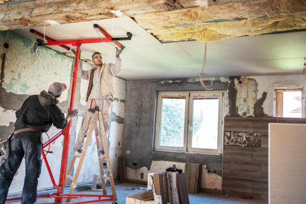 Best Insulation for Specific Applications in Lady Lake, FL