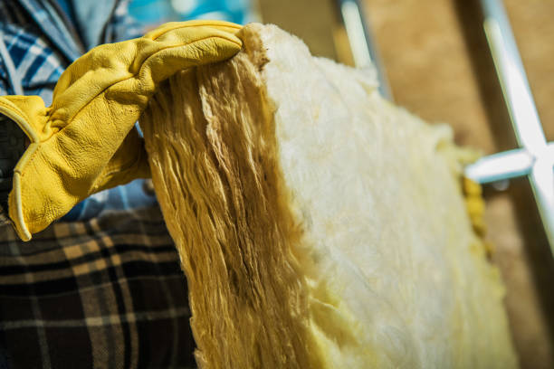 Best Commercial Insulation in Lady Lake, FL