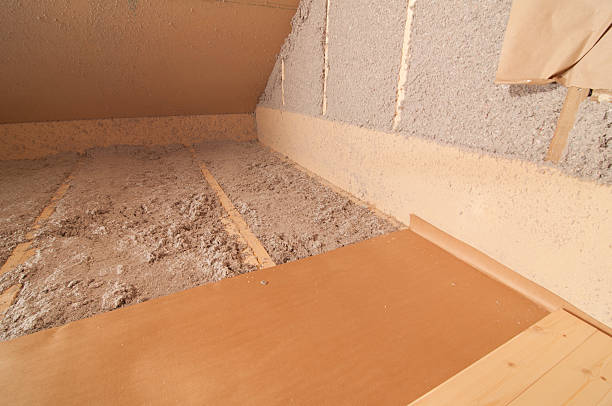 Best Insulation Maintenance and Repair in Lady Lake, FL