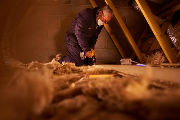 Best Insulation for Specific Applications in Lady Lake, FL
