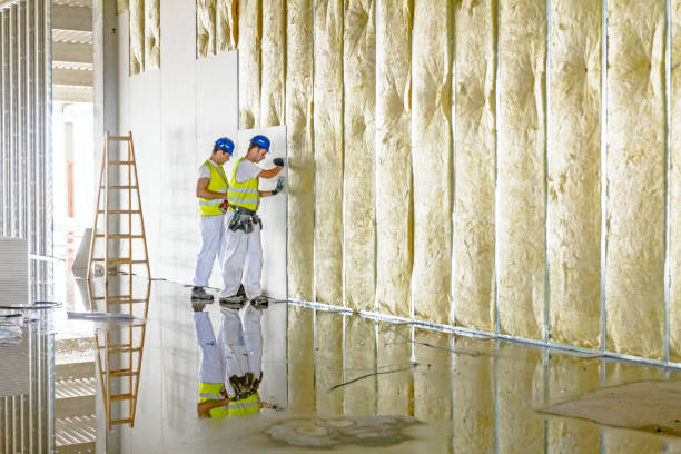 Types of Insulation We Offer in Lady Lake, FL